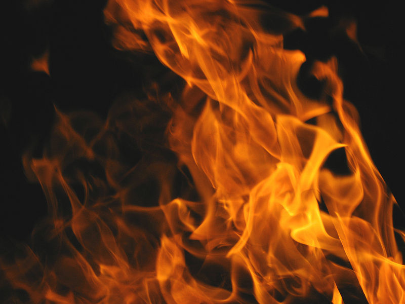 Toxic, Flammable, Dangerous