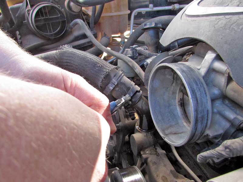 Next, all the hoses need to come off the old pump.